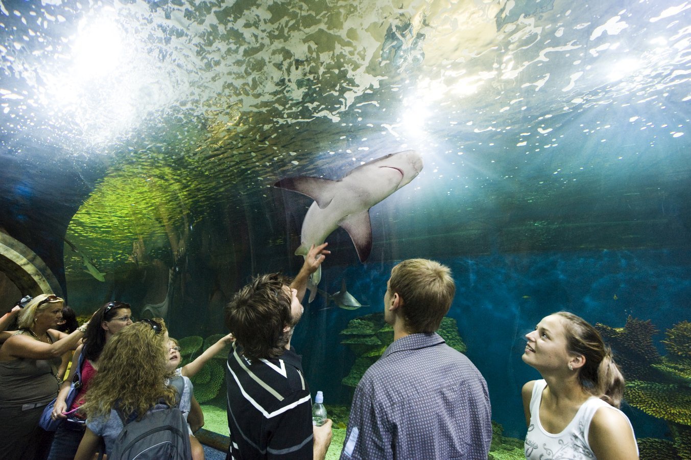 A Nyíregyházi állatpark